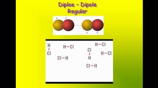 Intermolecular Attractions  Induced dipole Dipole Hydrogen Bonding Ion [upl. by Nehcterg]