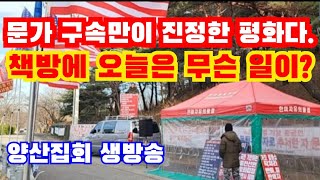 양산 문가 구속이 국민의 진정한 평화 이재명 안나와도 재판은 진행 김정숙 옷값 특검하라 끝장보기라이브24113 [upl. by Hanafee499]