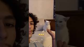 The animals 🤣😂 animalsfunny funnyanimals pets shorts [upl. by Ataynek]