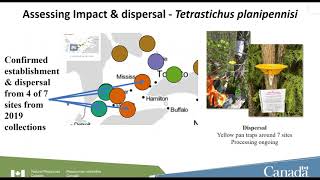 2021 Ontario Invasive Species Forum  Invading Ontario’s Forests [upl. by Izak]