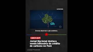 Floresta em pé  Jornal Nacional destaca venda bilionária de crédito de carbono no Pará [upl. by Etessil]