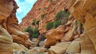 🇯🇴 Iordania  Wadi Ghuweir  Kerak Castle [upl. by Acirederf]