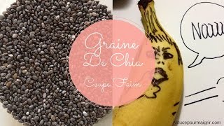 Graine De Chia Coupe Faim [upl. by Ahsemaj]