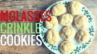 MOLASSES CRINKLE COOKIES  Easy BeginnerFriendly Holiday Cookie Recipe [upl. by Rohpotsirhc]