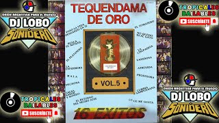 TEQUENDAMA DE ORO VOL5  LADO B AUDIO FULL ℗ © 1985 [upl. by Onaled]