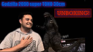 Super TOHO Godzilla 2000 unboxing [upl. by Anyaled]