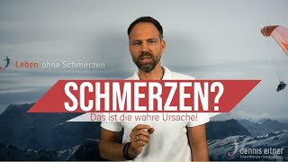 Die Entstehung von Schmerzen am Bewegungsapparat [upl. by Ahmad]