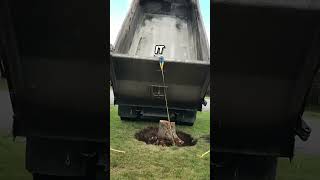 How to Remove the End Part of the Root of a Tree 😳 [upl. by Budwig]