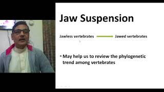 Jaw Suspensorium Structural and Evolutionary Trend in Vertebrates [upl. by Aelrac]