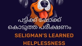 Seligmans Learned Helplessness ആത്മവിശ്വാസമില്ലായ്മയുടെ കാരണം ഇതാണോ [upl. by Hcire]