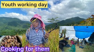 Harvest time with the next generation youth Cooking for them sinimah2022 [upl. by Lahcsap]