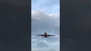 AirAsia Philippines A320 Overhead 🛬 airasia a320 airbus planespotting aviation [upl. by Giffy]