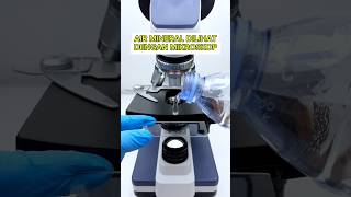 Apakah kalian masih mau minum air mineral setelah melihat diperbesar 400 kali microscope shorts [upl. by Ahsienad]