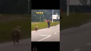 Sheep 🐏🐑 Run viralvideo video [upl. by Gilberte789]