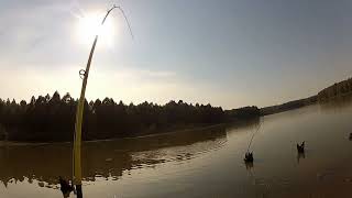 Tarariras en el lago de Salto Grande [upl. by Eittod]