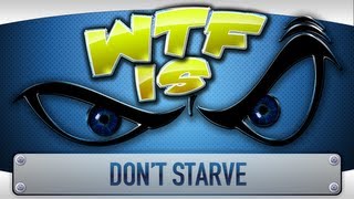 ► WTF Is  Dont Starve [upl. by David701]