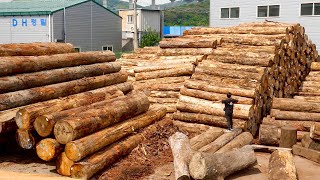 Wooden Furniture Mass Production Factory Wood Couch Manufacturing Process [upl. by Thessa758]