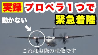 大阪伊丹空港で撮影された実際の映像です。飛行機の片方のエンジンが動かなくなり、もう一方のエンジンのみで着陸を試みる「緊張の瞬間」を滑走路のすぐ近くで撮影しました。着陸までノーカットでご覧いただきます。 [upl. by Einna]