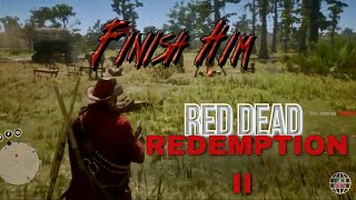 Red Dead Redemption 2 Do You Think This Is Toxic [upl. by Eatnoled]