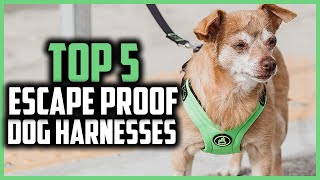 ✅Top 5 Best Escape Proof Dog Harnesses of 2024 [upl. by Esilanna361]