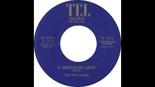 The Nutmegs  A Dream Of Love 1960 [upl. by Eeroc]