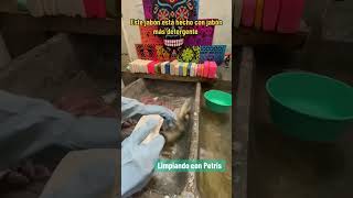 Buena calidad de jabón Ecuatoriano limpieza satisfying soap asmrcleaning jabonliquido lavado [upl. by Ayotyal]