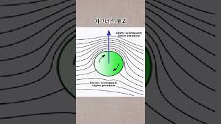 매그너스 효과 [upl. by Boote]