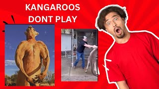 What would you do foryou shorts kangaroo fypyoutube [upl. by Elizabet25]