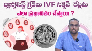 What is Balstocyst Grading  Embroyology  Embryo  IVF  Avni Fertility Andrology [upl. by Denison]