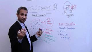 Immunology Basophil Mast Cells Lecture 4 Part 7 [upl. by Selassie]