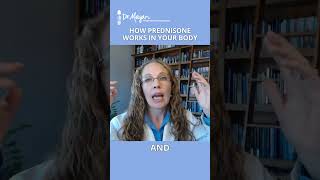 How Does Prednisone Really Work in Your Body The Science Behind It [upl. by Bello]