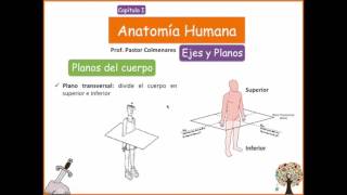 Ejes y Planos  Anatomía Humana  Capítulo I [upl. by Tallu534]