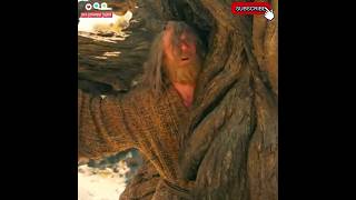 🔥Gandalf Gets Eaten by Tree🔥  Bombadil Saved Gandalf  The Rings of Power lordoftherings shorts [upl. by Niels]