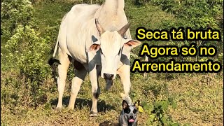 Pronto agora a seca chegou de vez agora tem q ser no arrendamento pra da certo [upl. by Kendall]