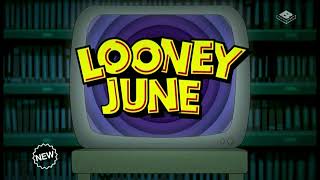 Boomerang UK Looney June 2024 Promo [upl. by Rafaello]