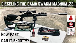 Dieseling the Gamo Swarm Magnum 22 [upl. by Adyela654]