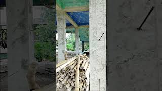 load bearing vs framed structure🏬 construction beam reinforcement bulding column civilwork [upl. by Lyndel]