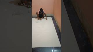 पूरे कमरे में टाइल्स सेट होने के बाद construction floor tiles [upl. by Aimo782]