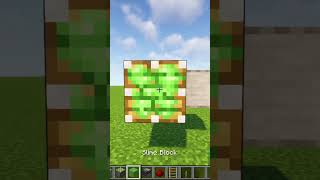 Rail Duper GLITCH in Minecraft 1202 [upl. by Jewelle]