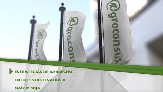 Estrategias de barbecho en lotes destinados a maíz o soja [upl. by Adnovad]