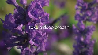 Air Wick Essential Mist Breathe II [upl. by Berne]