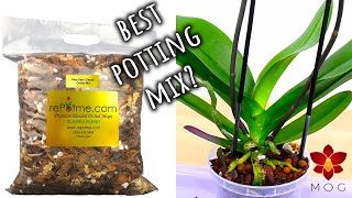 What Orchid Potting Mix is best for you  Easy guide for beginners  Orchid Care for Beginners [upl. by Ambros]