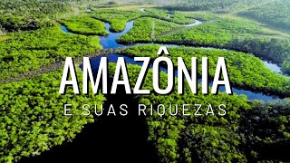 Amazôniariquezas biodivercidadeflorestagarimpoouro mineração riograndedosul catastrófe [upl. by Mallis]