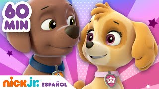 PAW Patrol  ¡Los rescates más valientes de Skye y Zuma durante 1 hora  Nick Jr en Español [upl. by Binny270]