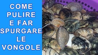 COME SPURGARE LE VONGOLE PULIRLE BENE APRIRE E TOGLIERE LA SABBIA  FoodVlogger [upl. by Hubert941]