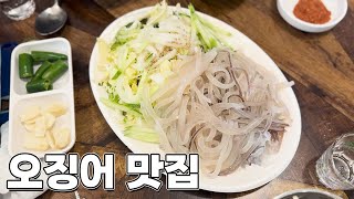 서울에서 오징어 맛있는 집  사당 청송산오징어 [upl. by Sandi75]