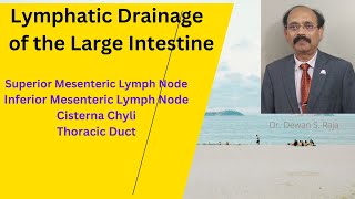 Lymphatic Drainage of the Large Intestine [upl. by Narod60]