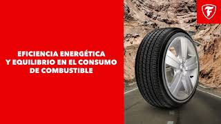 Neumáticos Firestone F700  Seguridad y rendimiento [upl. by Chrissy]