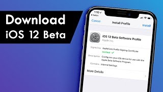 How to Install iOS 12 Developer Beta on iPhone or iPad [upl. by Cerell696]