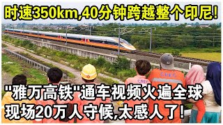 時速350km，40分鐘跨越整個印尼！“雅萬高鐵”通車視頻火遍全球！現場20萬人守候，超100萬人預約乘坐，日本酸了？ [upl. by Yrallih]